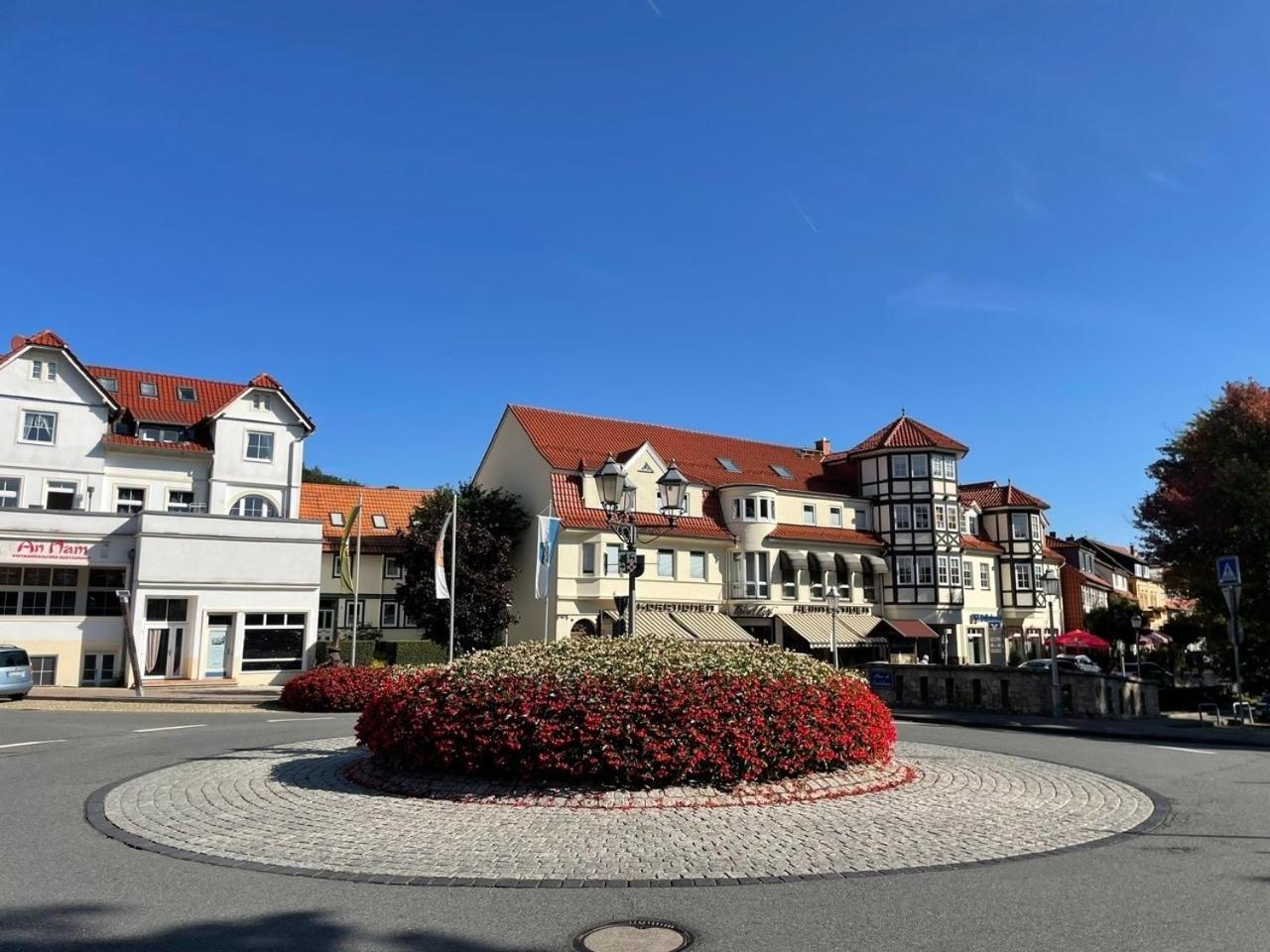 Ferienappartment "Kleine Waldpause" - Optional Mit Saunanutzung Bad Sachsa Exterior foto